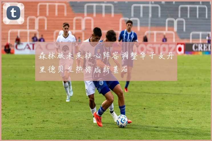 森林狼未来核心阵容调整华子麦丹里德贝兰热将成新基石